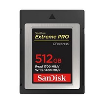 샌디스크 512GB 익스트림 PRO CF 익스프레스 카드 타입 B - SDCFE-512G-GN4NN, 512GB SanDisk _Card Only