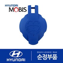 오피러스 워셔액통 캡 뚜껑 (2006.5 이전)