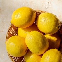 가성비 좋은 레몬10kg 중 알뜰하게 구매할 수 있는 판매량 1위