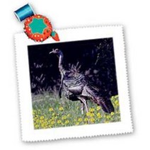 3dRose Wild Turkey Gobbler Square Quilt Sheet 10 by 10-Inch, 1