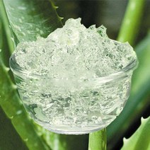 수플레이스 알로에베라겔 100g 500g 1kg