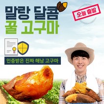 건강윤선생 산지직송 세척 베니하루카 해남 호박 꿀 고구마 3kg 5kg 10kg, 1박스
