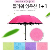 [유니크앤몰] 1+1 비오면 벗꽃이 플라워 암막 양우산 자외선차단 미니양산 우산