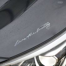 기아 카니발 손글씨 무광 크롬 메탈스티커 60331, 1개