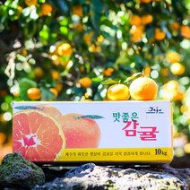 [제주땡큐베리팜] 농장직송 햇 노지감귤 4.5kg 9kg ( 2S/S/M/L ), 1세트, 감귤 9kg(중소과2S/S)