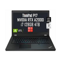 Lenovo ThinkPad P17 Gen 2 17.3인치 FHD(Intel 8코어 i7-11800H 128GB RAM 4TB PCIe SSD NVIDIA RTX A2000