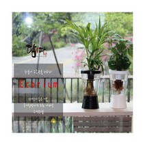 [이티엔] ETN 담따 에코리움 화분 원예 분갈이 플라스틱화분 베란다텃밭 저면관수, 선택:ETN 담따 에코리움(화이트)