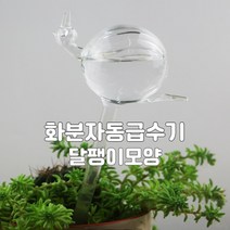 와이재재 화분자동급수기 달팽이모양 200ml, 3개