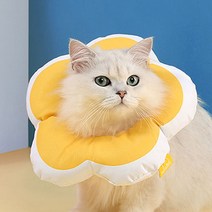 포포우즈 강아지 고양이 귀염뽀짝 넥 카라 쿠션 목 보호대 방수 중성화수술 긁음 핥음 방지, 핑크, M