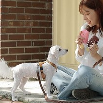 애견장난감 라텍스 삑삑이 소리나는 이갈이장난감, 1개, 랜덤발송