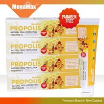 [P1B] 메가맥스 뉴질랜드 프로폴리스 치약 160g x 1개 / ( P1B / 55989EA ), 1, 본상품선택