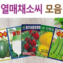 살아있는 씨앗 모음 열매씨앗 여주 우엉 박 토마토 참외 수박 오이 호박 가지 옥수수 깨 콩 팥 수수 밀 배추 양배추 열무 알타리 당근 무 비트 콜라비 고추 파프리카 종자, N-청콜라비 x 1개, 1개