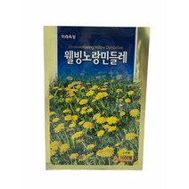 웰빙 노랑민들레 씨앗 흰민들레 씨앗