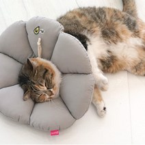 고양이중성화넥카라 쿠션목보호대 강아지디스크 애견목보호 소형견 강아지보호용품
