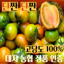 [단짠단짠끝판왕] 부산 대저 짭짤이 토마토 2.5kg, B급 대저토마토(M/중과) 2.5kg