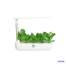 수경재배화분 친환경 가정용 베란다 상추 수경식물 세트 텃밭 키우기, pvc, C