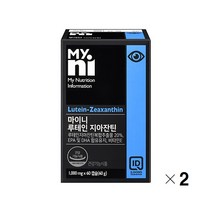 일동제약 마이니 루테인지아잔틴 눈영양제 rtg 오메가3 비타민e 눈건강 식물성 마리골드꽃 빌베리 헤파토코쿠스 추천, 60캡슐, 2개