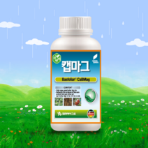 코리아아그로 캡마그 200ml 500ml 식물칼슘제 영양제 근근비대 고효율 고토 붕소 복합 액제