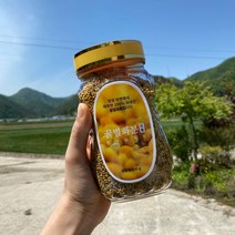 산농 2021년 햇 벌화분 장성 국내산 꿀벌화분500g(비폴렌 꽃가루화분 먹는화분), 500g
