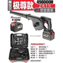 충전식 낙엽 청소기 차량 무선 먼지 송풍기 고압, R.BlackWhirlwindExtremelyRespe
