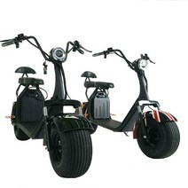 일렉모터스 전동스쿠터 듀얼모터 시티코코 국내배송 AS전문 1500W, 1개, 1500W(잉글랜드 12AH 추가)