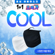 엘트샵빨아쓰는 효성 아스킨 필터 마스크 메쉬2겹 1장+1장 더