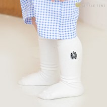 포리오 반타이즈