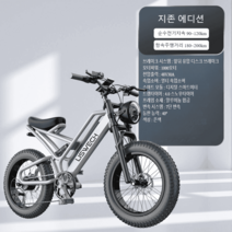 전기자전거 전동 국토종주용 서스펜션 풀샥 배달용 PAS 산악 파스 장거리 1000W 간지, 지존 에디션 모터1000 전압48V30A 은색, 48V, 30AH