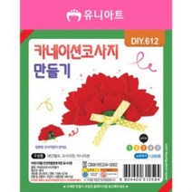 DIY612 카네이션코사지만들기 어버이날 스승의날 만들기패키지 가정의달 5월mz2498, 상품선택