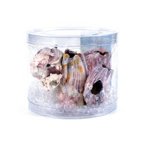 해수어 어항장식품 바다느낌 따개비 열대어키우기 수조용품 안락한은신처