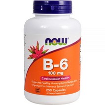 NOW B6 100 mg 250