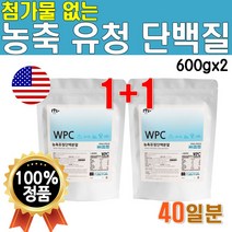 식약처 수입확인증 농축 유청 단백질 WPC 프로틴 분말 가루 600gx2개 40일분 미국산 수입 WPC 웨이 프로틴 NCS 첨가물없는 물에타먹는 마시는 고급 고함량 단백질 쉐이크