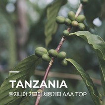 [생두] 탄자니아 기고마 세렝게티 AAA TOP 1kg