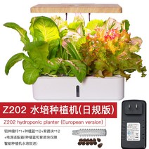 가정용 스마트팜 스마트 채소 식물 재배기 키우기, 중간, 플라스틱, F 크로스보더 스페셜 슈팅 Z202 수경재배기 라이스
