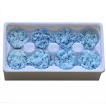 프리저브드 플라워장미 재료 플로에버 오스틴 카네이션 꽃자재 1박스, 스카이불루(카네이션)