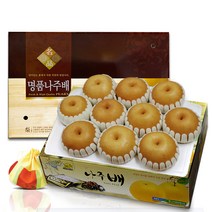 소담촌 나주배 선물세트 7.5kg(선물용특품), 7.5kg선물용특품(7-10과)대과, 순차발송