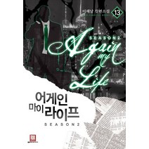 어게인 마이 라이프 시즌2 13:이해날 장편소설, 로크미디어, 이해날 저