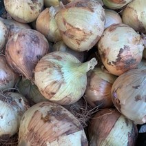 국내산 햇 양파 특품 3kg 5kg 10kg, 중