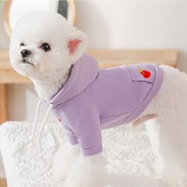 톰앤토미s 강아지 고양이 봄 가을 옷 큐피드 얇은 후드티 티셔츠 (옐로우 핑크 퍼플 그린)