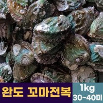 완도 꼬마전복 활 전복 1kg(30~40미)