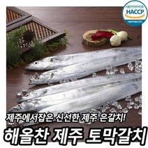 해올찬 제주 토막 은갈치, 5팩15토막