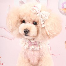 팝앤퍼피 셔링레이스케이프, S, 핑크