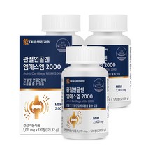대웅생명과학 관절연골엔 엠에스엠 2000, 120정, 3개