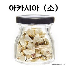 현모양처 올차 아카시아 2.5g 5잔 봄향기 담뿍 담은 달달하면서 담백한 맛과 은은한 향, 상세페이지 참조, 상세페이지 참조