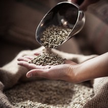 산미없는 블루마운틴 스폐셜티 블랜딩 킹스브라운MR 원두 당일로스팅 맛있는커피, 핸드드립(핸드드립 최적굵기), 킹스브라운MR 500g, 500g