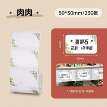 NIIMBOT B21 B3S B203 라벨 붙여 넣기 사랑스러운 컬러 기계 인쇄 용지 세 안티 열 북유럽 벽걸이 색상, RR50X30mm