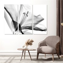 모던하우스 꽃 3분할 액자세트 중형 3세트(1pcs 40x90cm), 4.릴리B