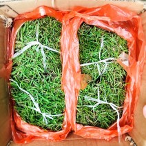 청년농부 천연잔디 (잔디심기 마당잔디 산소잔디 마당조경 골프장잔디), 20장