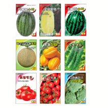 복수박 로얄블랙 애플 꿀 수박 멜론 여주 참외 찰 완숙 방울 토마토 민들레 씨앗 종자, 9.토이방울토마토 100립