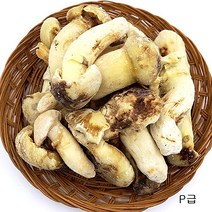 (청림송이 능이) 햇 자연산 냉동송이버섯 (특품), 1개, 냉동송이/P/1kg